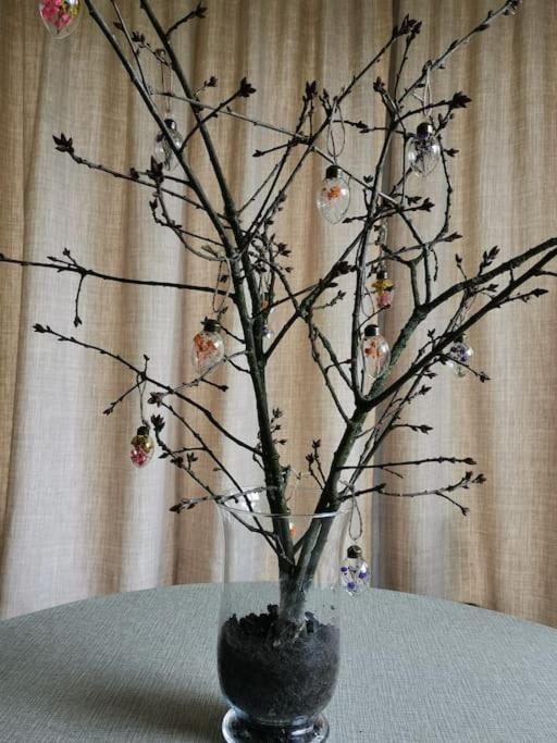 Huisje Mezengroet Lanaken Ngoại thất bức ảnh
